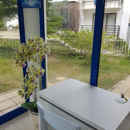 Riviera Complex 6 * Светий Влас